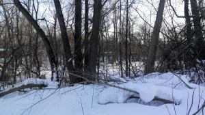 05.03. 15 За Волгой 3