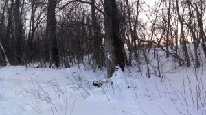 05.03. 15 За Волгой 4