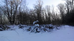 05.03. 15 За Волгой