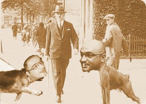 РАСУЛЗАДЕ на ул.