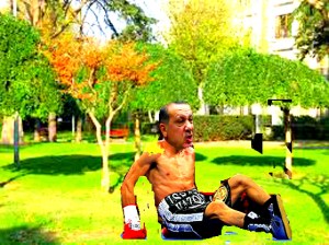 нокдаун парк