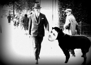 emiqrasiya-mehemmed-emin-resulzade