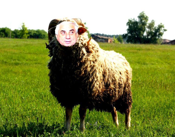 БАРАН ДЕПУТАТ 1