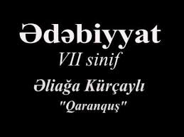 əliağa kürçaylı qaranquş